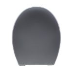 Abattant frein de chute déclipsable gris plastique thermodur, SENSEA Familia