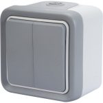 Double interrupteur va-et-vient étanche gris / argent LEGRAND