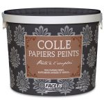 Colle tous papiers peints Prête à l'emploi, 5 kg