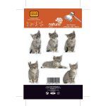 Sticker Mini chatons 10.6 cm x 16.8 cm