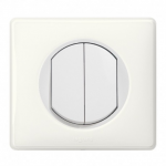 Legrand Céliane - Double Bouton Poussoir - Ensemble Blanc complet à Griffes