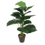 Alocasia artificiel 70cm BRITO